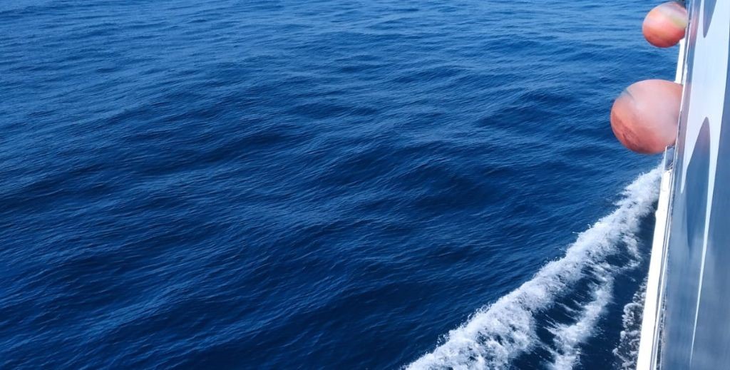 Viaje en barco a la isla de Tabarca - MamáTiene un Plan.