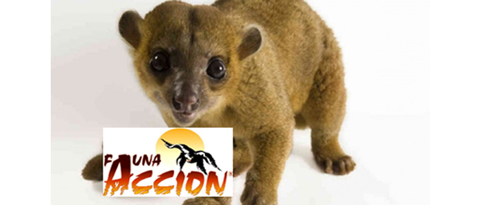 gratis charla fetiche cerca de Zaragoza gratis charla fetiche cerca de Zaragoza