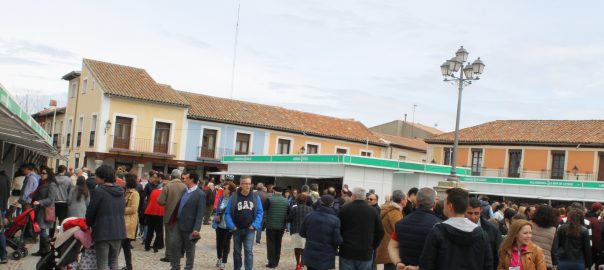 feria del libro de Navalcarnero