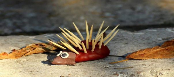 Manualidades creativas