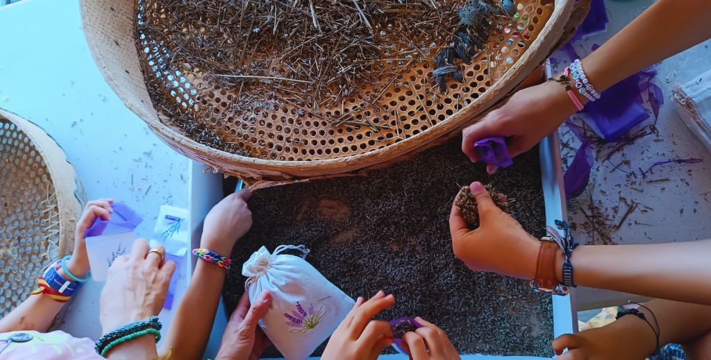 Talleres en la Fiesta de la Cosecha de la Lavanda, en Cilleruelo de Arriba, Burgos - Mamá Tiene un Plan.
