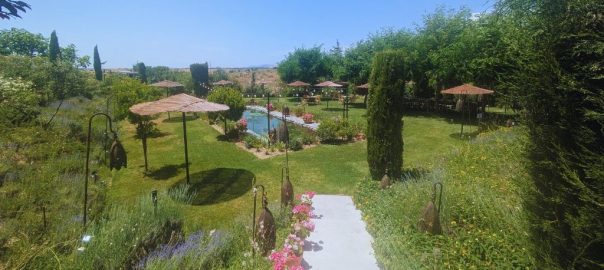 Zona del estanque en la finca Aal Cachucho, San Agustín de Guadalix, Madrid - Mamá Tiene un Plan