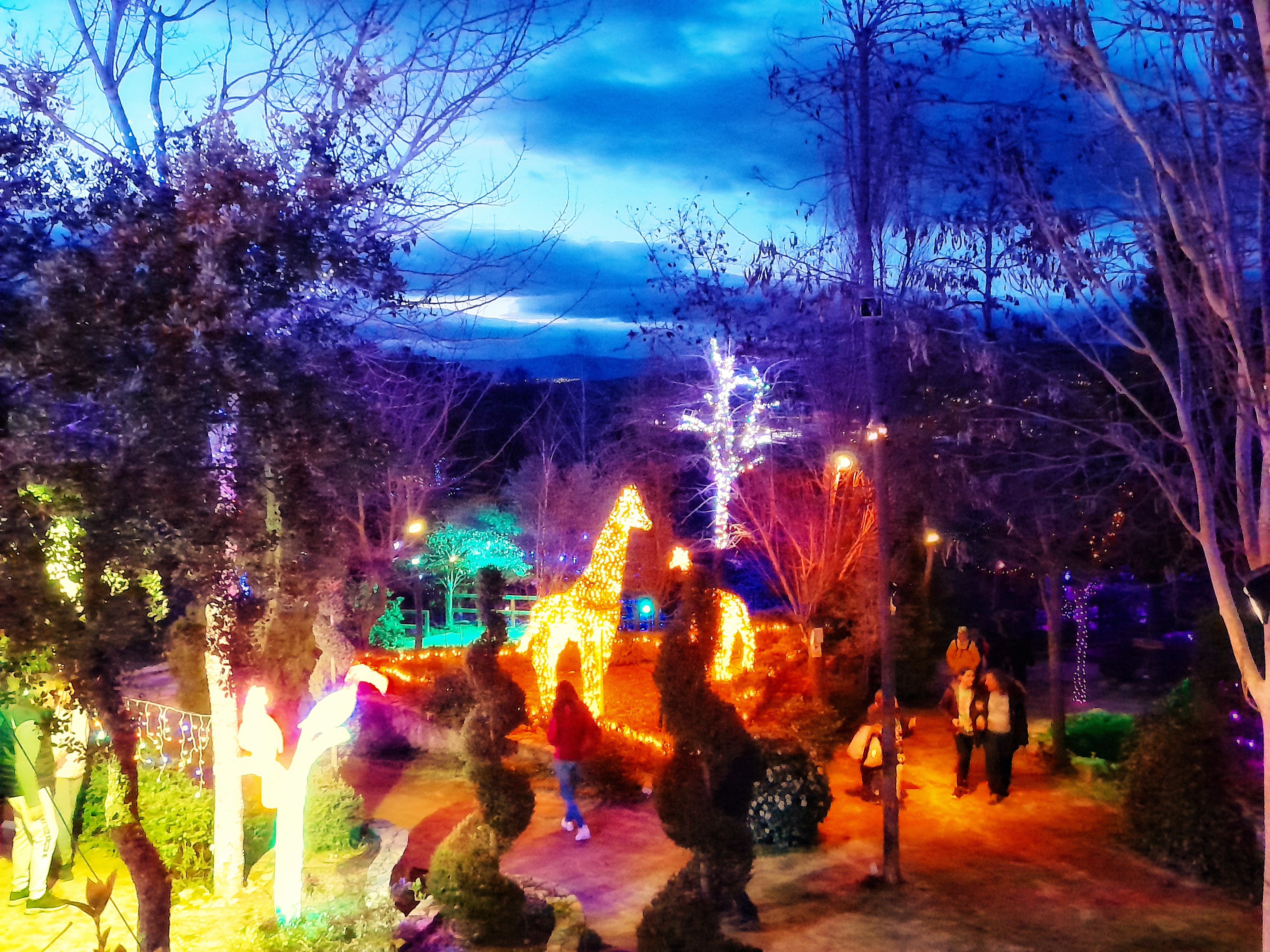 El Bosque Encantado en Semana Santa