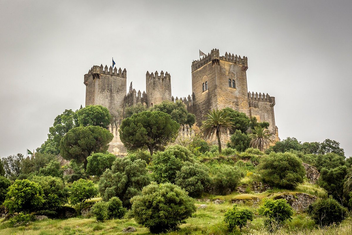 1446_castillo.jpg