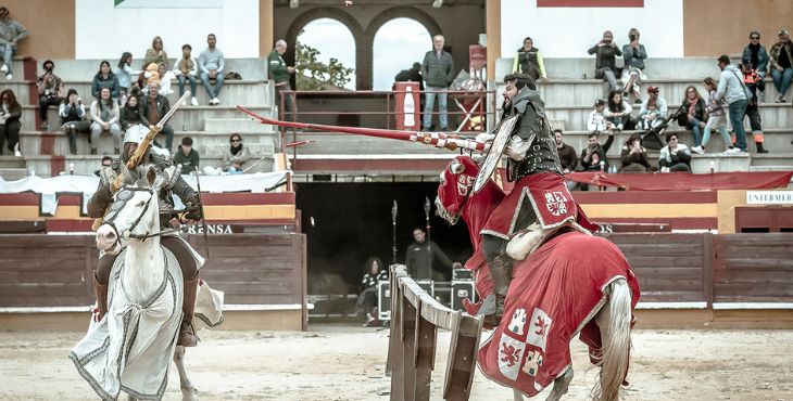 5389_1_qué-hacer-con-ninos-en-madrid-el-puente-de-mayo-mamátieneunplan-01-feria-medieval-el-álamo.jpg