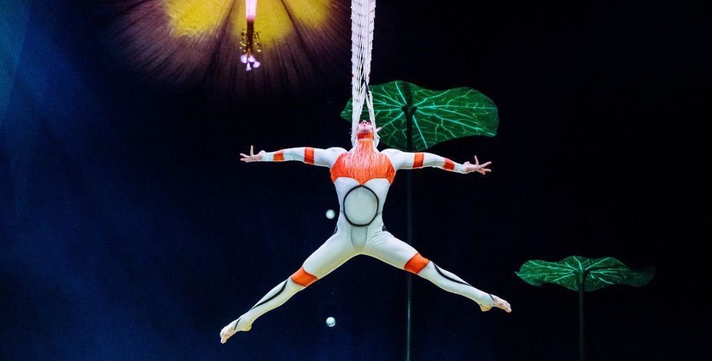 5876_3_los-mejores-espectáculos-en-madrid-mamátieneunplan-08-ovo-cirque-du-soleil-en-madrid.jpeg